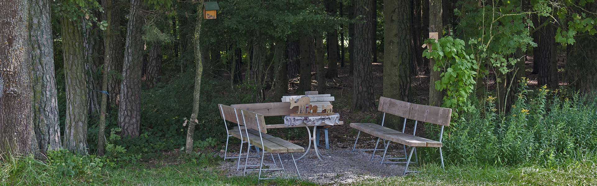 Header Langenmosen 017